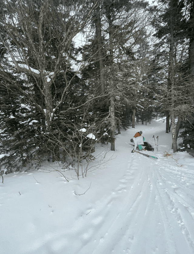/gallery/timberline.png